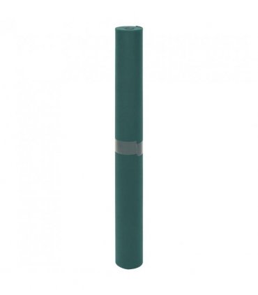 vidaXL Plant Fleece 2 Rolls 70 g/m² 10x1.6 m — Colour: Green, Size: 10 x 1.6 m (70 g/m²)