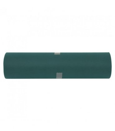 vidaXL Plant Fleece 70 g/m² 50x1.6 m — Colour: Green, Size: 50 x 1.6 m (70 g/m²)