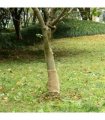 vidaXL Jute Roll 0.25x50 m 100% Jute 200 gsm — Size: 0.25 x 50 m