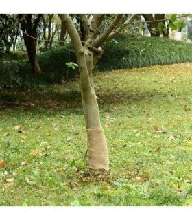vidaXL Jute Roll 0.25x25 m 100% Jute 200 gsm — Size: 0.25 x 25 m