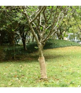 vidaXL Jute Rolls 2 pcs 0.5x50 m 100% Jute 200 gsm — Size: 0.5 x 50 m (2 pcs)