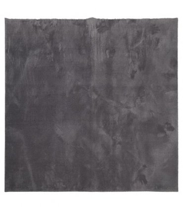 vidaXL Rug HUARTE Short Pile Soft and Washable Anthracite 160x160 cm — Size: 160 x 160 cm