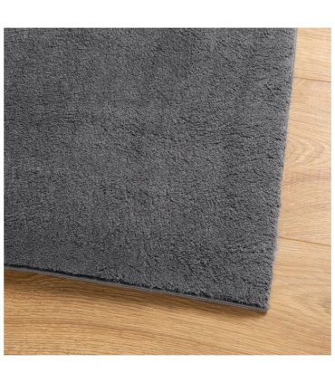vidaXL Rug HUARTE Short Pile Soft and Washable Anthracite 120x170 cm — Size: 120 x 170 cm