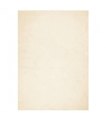 vidaXL Rug HUARTE Short Pile Soft and Washable Cream 200x280 cm — Size: 200 x 280 cm