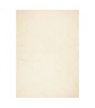 vidaXL Rug HUARTE Short Pile Soft and Washable Cream 240x340 cm — Size: 240 x 340 cm