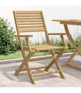 vidaXL Garden Chair | Set of 2 | Light Wood | Solid Acacia wood — Model: with armrest