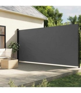 vidaXL Retractable Side Awning Anthracite 220x300 cm — Size: 220 x 300 cm