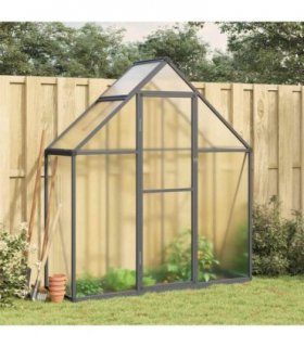 vidaXL Greenhouse with Base Frame Anthracite 169x58x195 cm Aluminium — Size: 169 x 58 x 195 cm