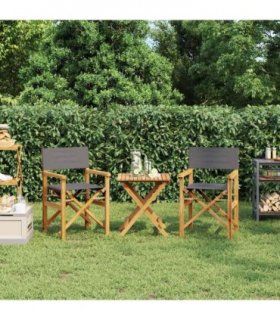 vidaXL Folding Director's Chairs 2 pcs Grey Solid Wood Teak
