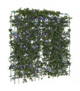 vidaXL Garden Trellis for Climbing Plants U-Shape 181x31x182.5 cm Steel — Colour: Green