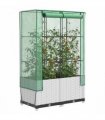 vidaXL Raised Bed with Greenhouse Cover Rattan Look 80x40x138 cm — Colour: white, Size: 80 x 40 x 138 cm