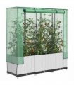 vidaXL Raised Bed with Greenhouse Cover Rattan Look 120x40x138 cm — Colour: white, Size: 120 x 40 x 138 cm