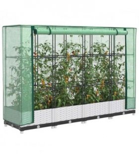 vidaXL Raised Bed with Greenhouse Cover Rattan Look 160x40x123 cm — Colour: white, Size: 160 x 40 x 123 cm