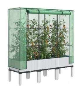 vidaXL Raised Bed with Greenhouse Cover Rattan Look 120x40x140 cm — Colour: white, Size: 120 x 40 x 140 cm
