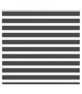vidaXL Zebra Blind Black 155x150 cm Fabric Width 150.9 cm Polyester — Size: 155 x 150 cm