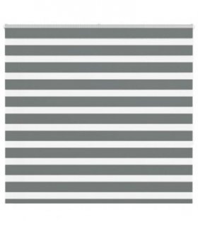 vidaXL Zebra Blind Dark Grey 165x150 cm Fabric Width 160.9 cm Polyester — Size: 165 x 150 cm
