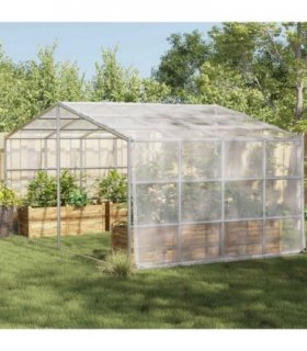 vidaXL Plant Cover Transparent 3 x 12 m PE