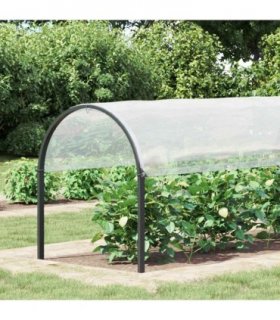 vidaXL Plant Cover Transparent 2 x 12 m PE