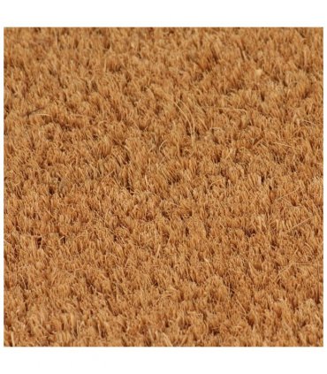 vidaXL Door Mats 2 pcs Natural 40x60 cm Tufted Coir — Size: 40 x 60 cm