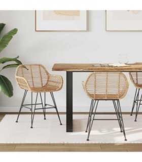vidaXL Dining Chair 2 pcs Rattan and Iron Natural 55 x 50 x 74 cm