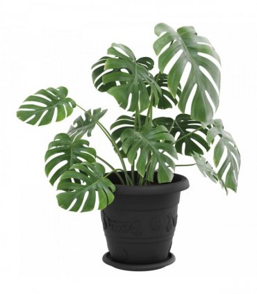 vidaXL Plant Pots 6 pcs Black Ø 26 x 21.5 cm Plastic