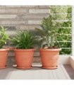vidaXL Plant Pots 24 pcs Brick Red Ø 26 x 21.5 cm Plastic