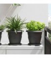 vidaXL Plant Pots 6 pcs Black Ø 22 x 18 cm Plastic