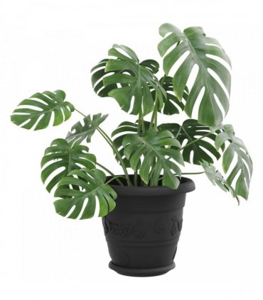 vidaXL Plant Pots 6 pcs Black Ø 22 x 18 cm Plastic