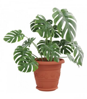 vidaXL Plant Pots 6 pcs Brick Red Ø 22 x 18 cm Plastic