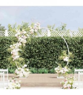 vidaXL Wedding Arch White 220 x 45 x 200 cm Steel — V0672004542
