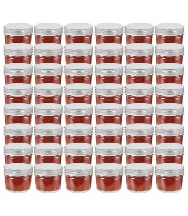 vidaXL Glass Jam Jars with Silver Lids 48 pcs 110 ml