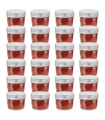 vidaXL Glass Jam Jars with Silver Lids 24 pcs 110 ml