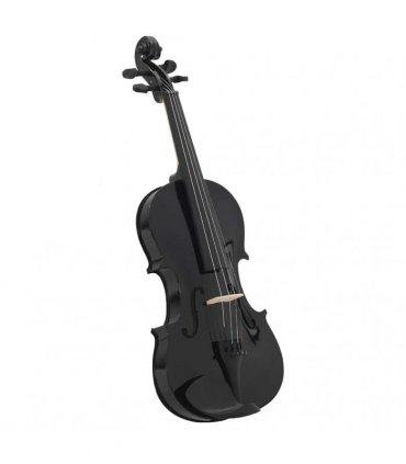 vidaXL Violin Full Set with Bow and Chin Rest Black 4/4
