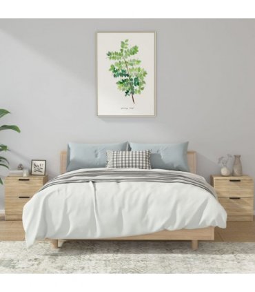vidaXL Bedside Cabinets 2 pcs Sonoma Oak Engineered Wood