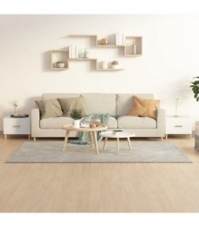 vidaXL Coffee Tables 2 pcs White 50x50x40 cm Engineered Wood