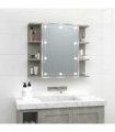 vidaXL Mirror Cabinet with LED Concrete Grey 70x16.5x60 cm
