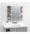 vidaXL Mirror Cabinet with LED Grey Sonoma 70x16.5x60 cm