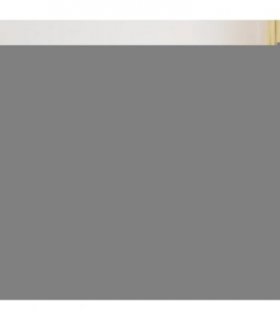 vidaXL Bed Frame without Mattress White 180x200 cm Super King Solid Wood — Size: 180 x 200 cm — V0672033070