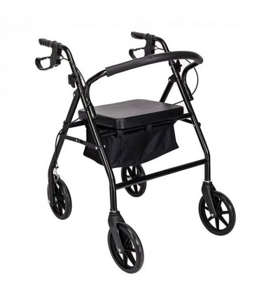 Steel Walker with Wheels Black