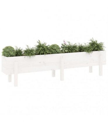 vidaXL Garden Raised Bed White 160x30x38 cm Solid Wood Pine — Colour: white pine, Size: 160 x 30 x 38 cm