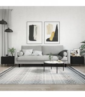 vidaXL Coffee Tables 2 pcs Black 50x50x40 cm Engineered Wood — V0672043515