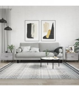 vidaXL Coffee Tables 2 pcs Grey Sonoma 50x50x40 cm Engineered Wood — V0672043516