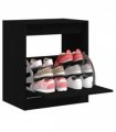 vidaXL Shoe Cabinet | Black | Engineered wood | Compact | Shoe Cabinet — Size: 60 x 42 x 69 cm