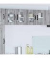 vidaXL Wall Glass Cabinet LUCCA 2 pcs Grey Sonoma 60 x 31 x 40 cm — Model: 2x wall glass cabinet (2 doors)
