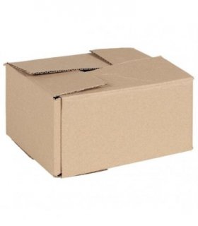 vidaXL Folding Box 50 pcs Natural 20 x 15 x 10 cm Cardboard