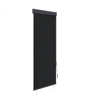 vidaXL Outdoor Roller Blind 60x250 cm Anthracite — Size: 60 x 250 cm