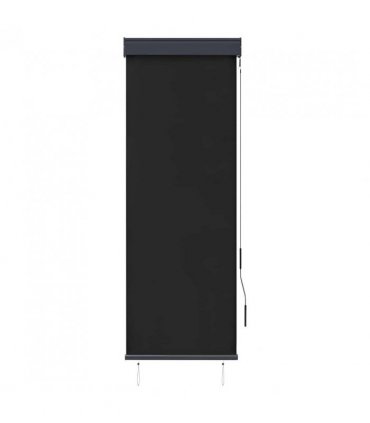 vidaXL Outdoor Roller Blind 60x250 cm Anthracite — Size: 60 x 250 cm