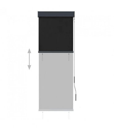 vidaXL Outdoor Roller Blind 60x250 cm Anthracite — Size: 60 x 250 cm