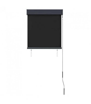 vidaXL Outdoor Roller Blind 60x250 cm Anthracite — Size: 60 x 250 cm