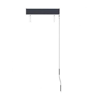 vidaXL Outdoor Roller Blind 60x250 cm Anthracite — Size: 60 x 250 cm